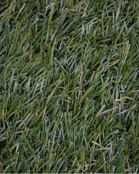 copy of GDD-GA -Edge