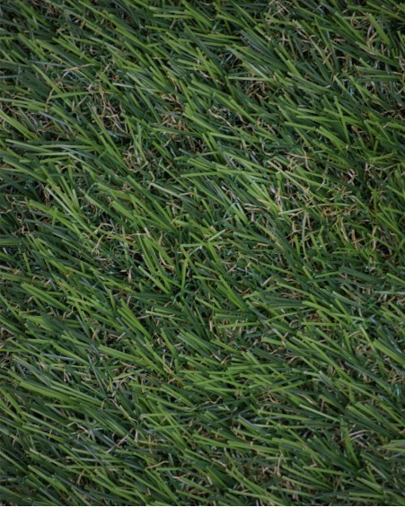 copy of GDD-GA -Edge