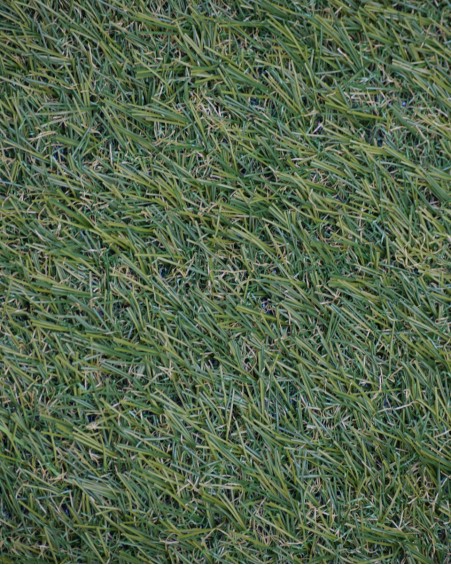 copy of GDD-GA -Edge