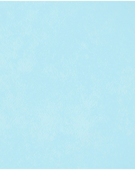 GDD- MURAL CALYPSO -...