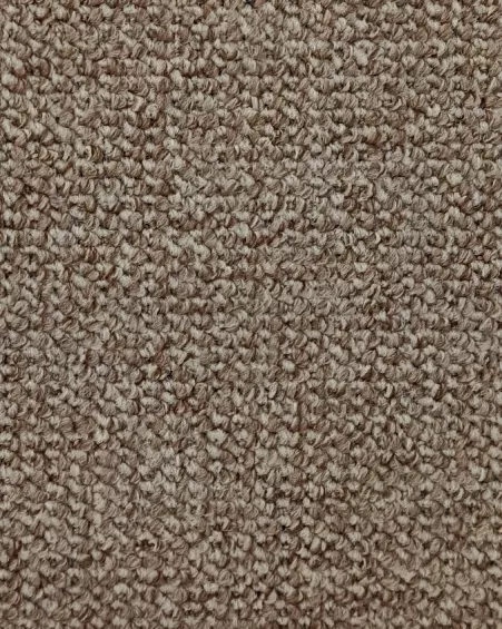 GDD - LION MARRON - 23023509