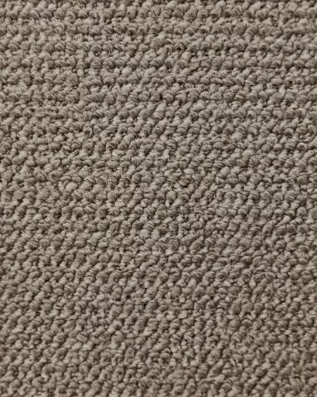 GDD - LION BEIGE - 23023510