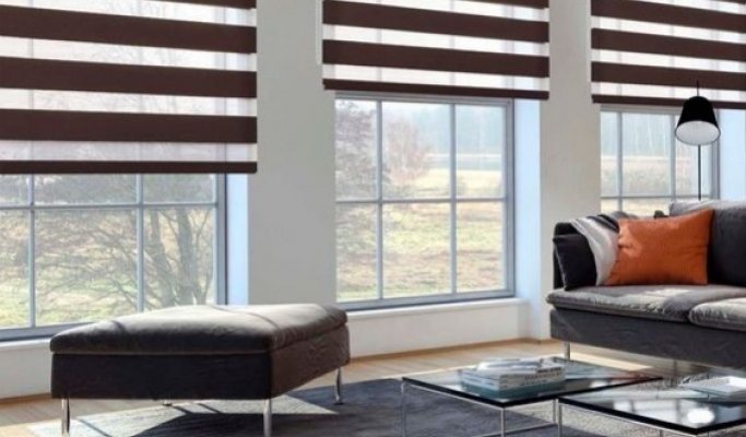 Influence de la culture tunisienne sur l’offre de Store Zébra