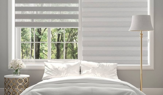 Type de Store zébra en Tunisie